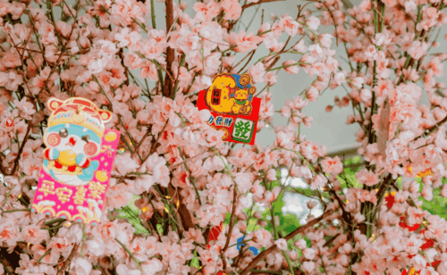 Ano Novo Lunar - Festival da Primavera na China